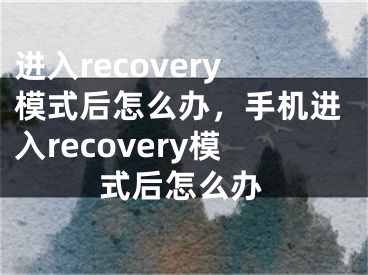 進入recovery模式后怎么辦，手機進入recovery模式后怎么辦