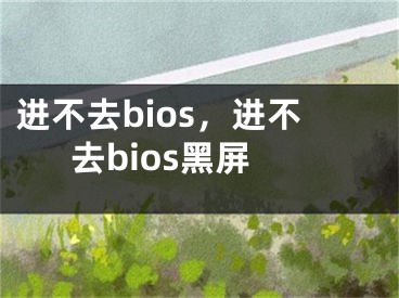 進不去bios，進不去bios黑屏