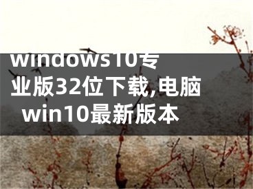 windows10專業(yè)版32位下載,電腦win10最新版本