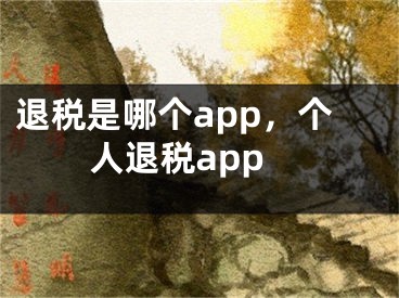 退稅是哪個app，個人退稅app