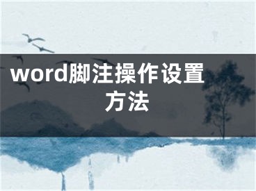 word腳注操作設(shè)置方法