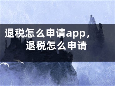 退稅怎么申請(qǐng)app，退稅怎么申請(qǐng)