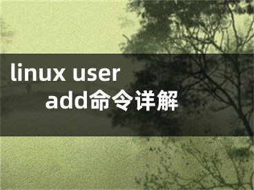 linux useradd命令詳解