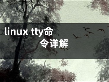 linux tty命令詳解