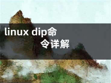 linux dip命令詳解