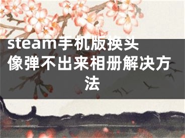 steam手機版換頭像彈不出來相冊解決方法