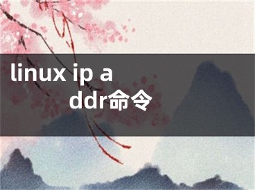 linux ip addr命令