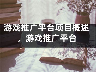 游戲推廣平臺項目概述，游戲推廣平臺