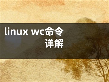 linux wc命令詳解