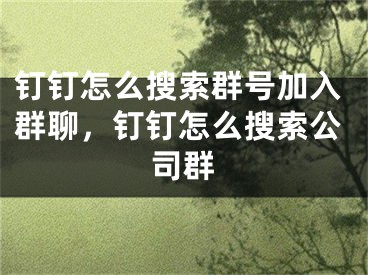 釘釘怎么搜索群號(hào)加入群聊，釘釘怎么搜索公司群