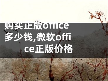 購買正版office多少錢,微軟office正版價格