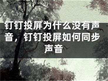 釘釘投屏為什么沒(méi)有聲音，釘釘投屏如何同步聲音