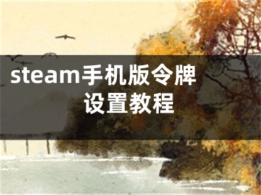 steam手機版令牌設(shè)置教程