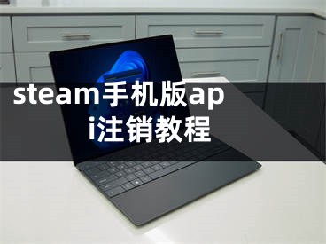 steam手機版api注銷教程