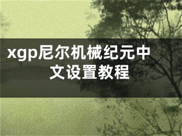 xgp尼爾機械紀元中文設置教程