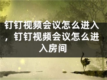 釘釘視頻會(huì)議怎么進(jìn)入，釘釘視頻會(huì)議怎么進(jìn)入房間