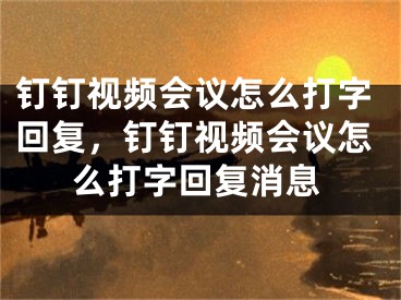 釘釘視頻會議怎么打字回復，釘釘視頻會議怎么打字回復消息