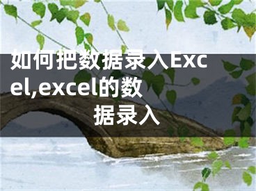 如何把數(shù)據(jù)錄入Excel,excel的數(shù)據(jù)錄入