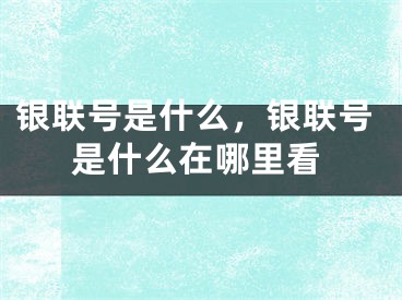 銀聯(lián)號(hào)是什么，銀聯(lián)號(hào)是什么在哪里看