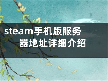 steam手機(jī)版服務(wù)器地址詳細(xì)介紹