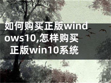 如何購(gòu)買(mǎi)正版windows10,怎樣購(gòu)買(mǎi)正版win10系統(tǒng)