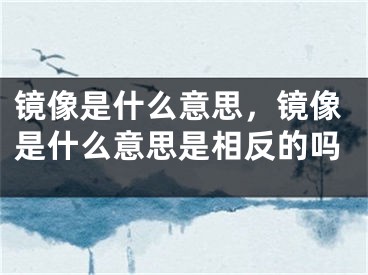 鏡像是什么意思，鏡像是什么意思是相反的嗎