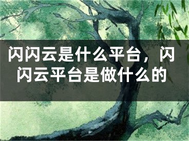 閃閃云是什么平臺(tái)，閃閃云平臺(tái)是做什么的