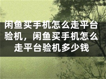 閑魚買手機怎么走平臺驗機，閑魚買手機怎么走平臺驗機多少錢