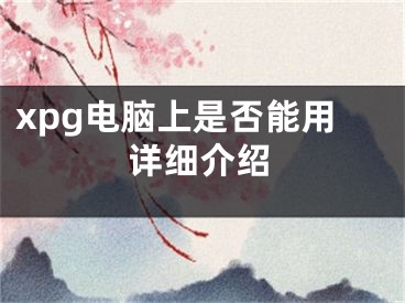 xpg電腦上是否能用詳細介紹