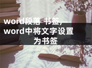 word段落 書簽,word中將文字設置為書簽