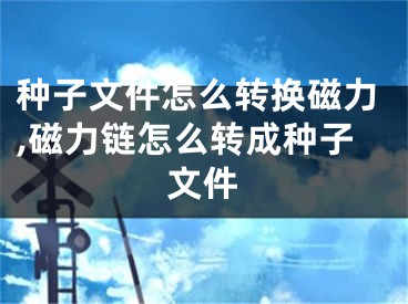 種子文件怎么轉(zhuǎn)換磁力,磁力鏈怎么轉(zhuǎn)成種子文件