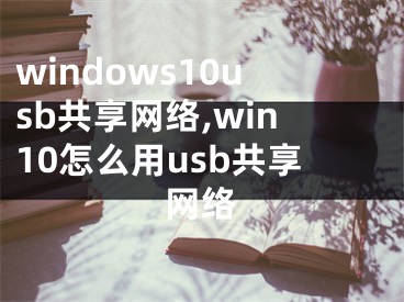 windows10usb共享網(wǎng)絡(luò),win10怎么用usb共享網(wǎng)絡(luò)