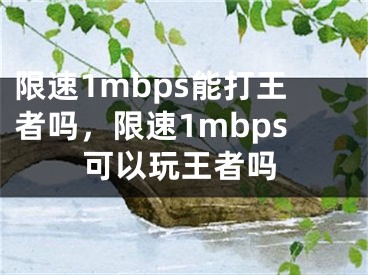 限速1mbps能打王者嗎，限速1mbps可以玩王者嗎