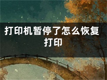 打印機暫停了怎么恢復打印