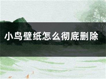 小鳥壁紙?jiān)趺磸氐讋h除