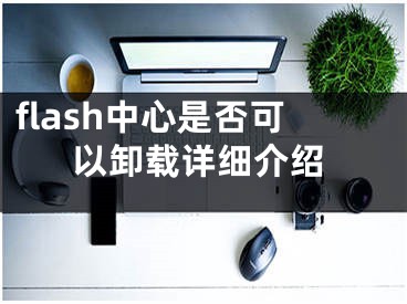 flash中心是否可以卸載詳細介紹