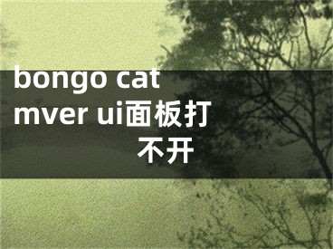 bongo cat mver ui面板打不開