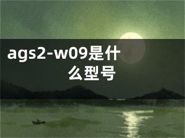 ags2-w09是什么型號