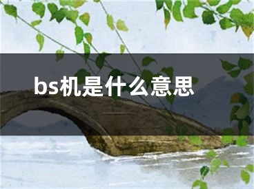 bs機(jī)是什么意思