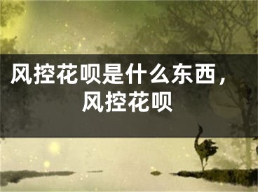 風(fēng)控花唄是什么東西，風(fēng)控花唄