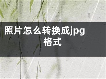 照片怎么轉(zhuǎn)換成jpg格式