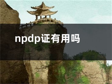 npdp證有用嗎