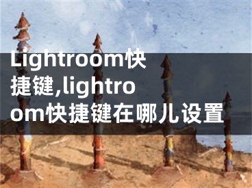 Lightroom快捷鍵,lightroom快捷鍵在哪兒設(shè)置