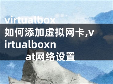 virtualbox如何添加虛擬網(wǎng)卡,virtualboxnat網(wǎng)絡(luò)設(shè)置