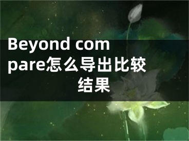 Beyond compare怎么導出比較結果