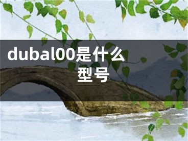 dubal00是什么型號(hào)