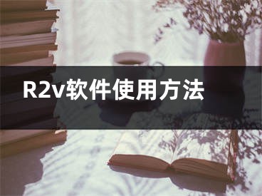 R2v軟件使用方法