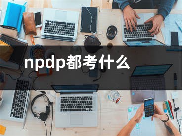 npdp都考什么