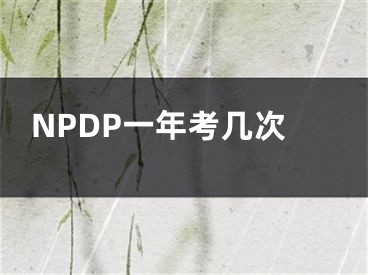 NPDP一年考幾次