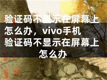 驗(yàn)證碼不顯示在屏幕上怎么辦，vivo手機(jī)驗(yàn)證碼不顯示在屏幕上怎么辦